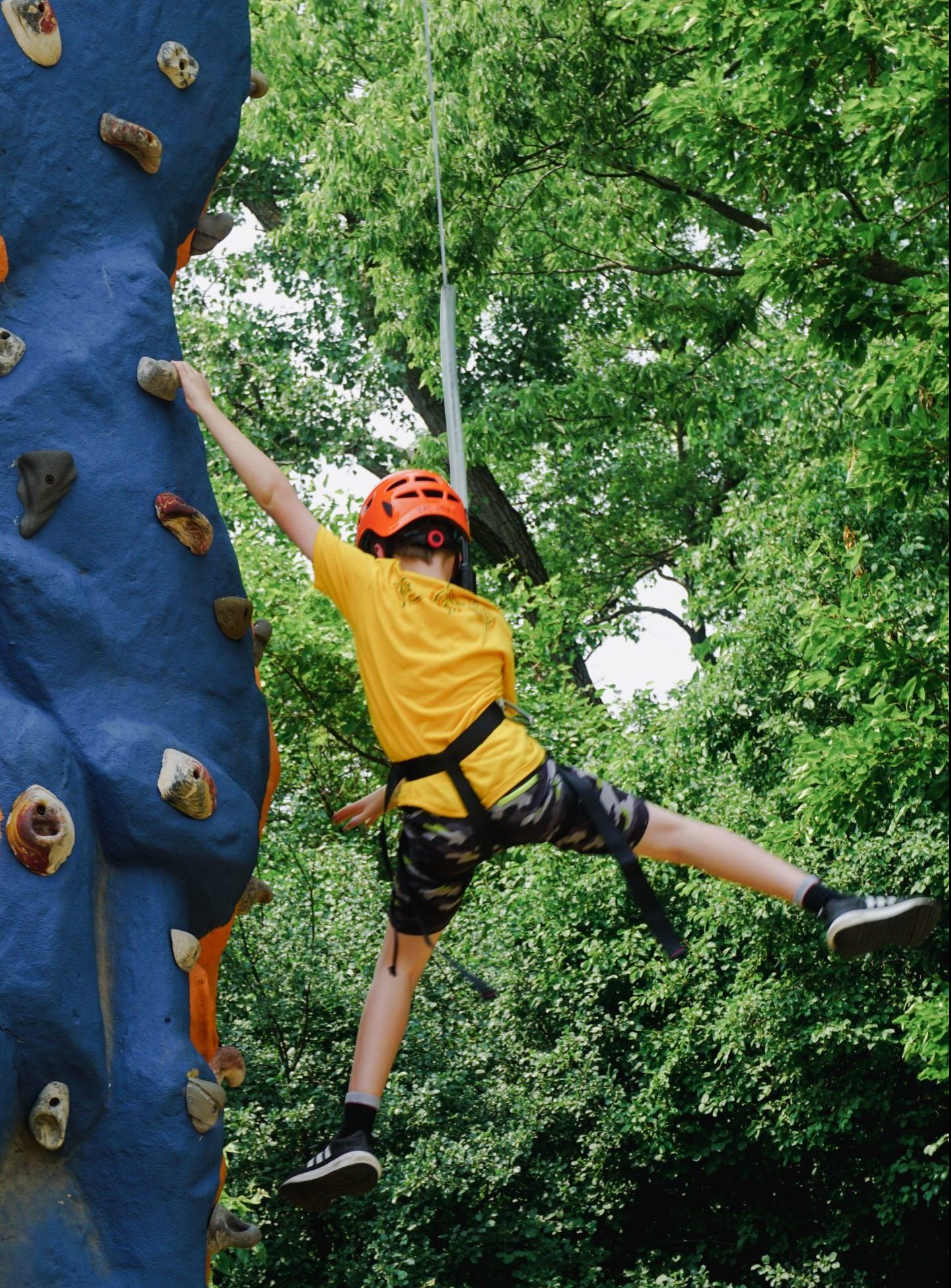 Day Camps Now Open 
